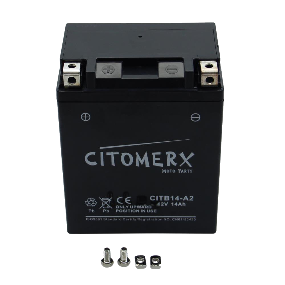 Gel-Batterie YB14-A2 12V/14 AH +Pol links, für Honda CBX 750 F RC17 Bj. 84-86