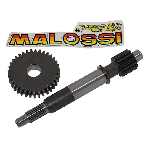 Getriebeübersetzung MALOSSI Primär für Peugeot Speedfight 1 100 Typ VGA S2AB 