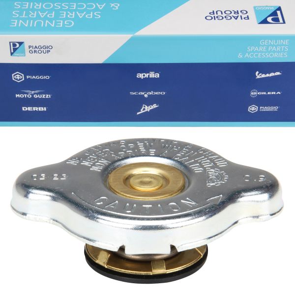 Piaggio Porter 1000 1300 1400 Maxxi Kühlerdeckel Original – Ersatzteil 1640187Z04000 (1640187Z04000)
