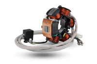 Original Lichtmaschine 830294 für Piaggio & Vespa 50cc Modelle