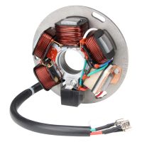 Lichtmaschine Stator für Vespa PX 125/150/200 P200E/X mit 5 Spulen (105510)
