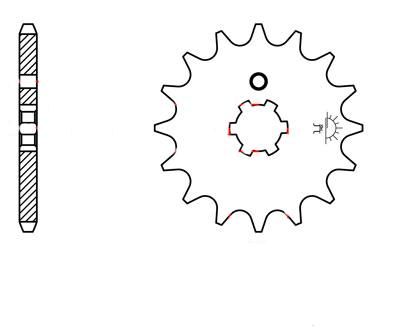 Ritzel vorne 15 Zähne Teilung 420 Typ F546-15 (110312)