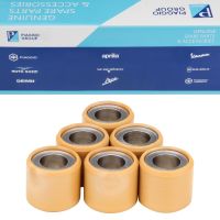 Variorollen/Variomatikgewichte CM1038045 Original Piaggio 19x17 - 7,4 Gramm (CM1038045)
