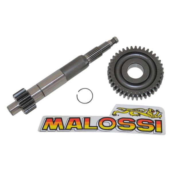 Getriebeübersetzung MALOSSI Primär Z 14/39 für Aprilia, Derbi, Gilera,  Italjet, Piaggio, Primär- & Sekundärgetriebeteile, Getriebe, Ketten &  Riemen, Roller Antriebsteile, Rollerteile